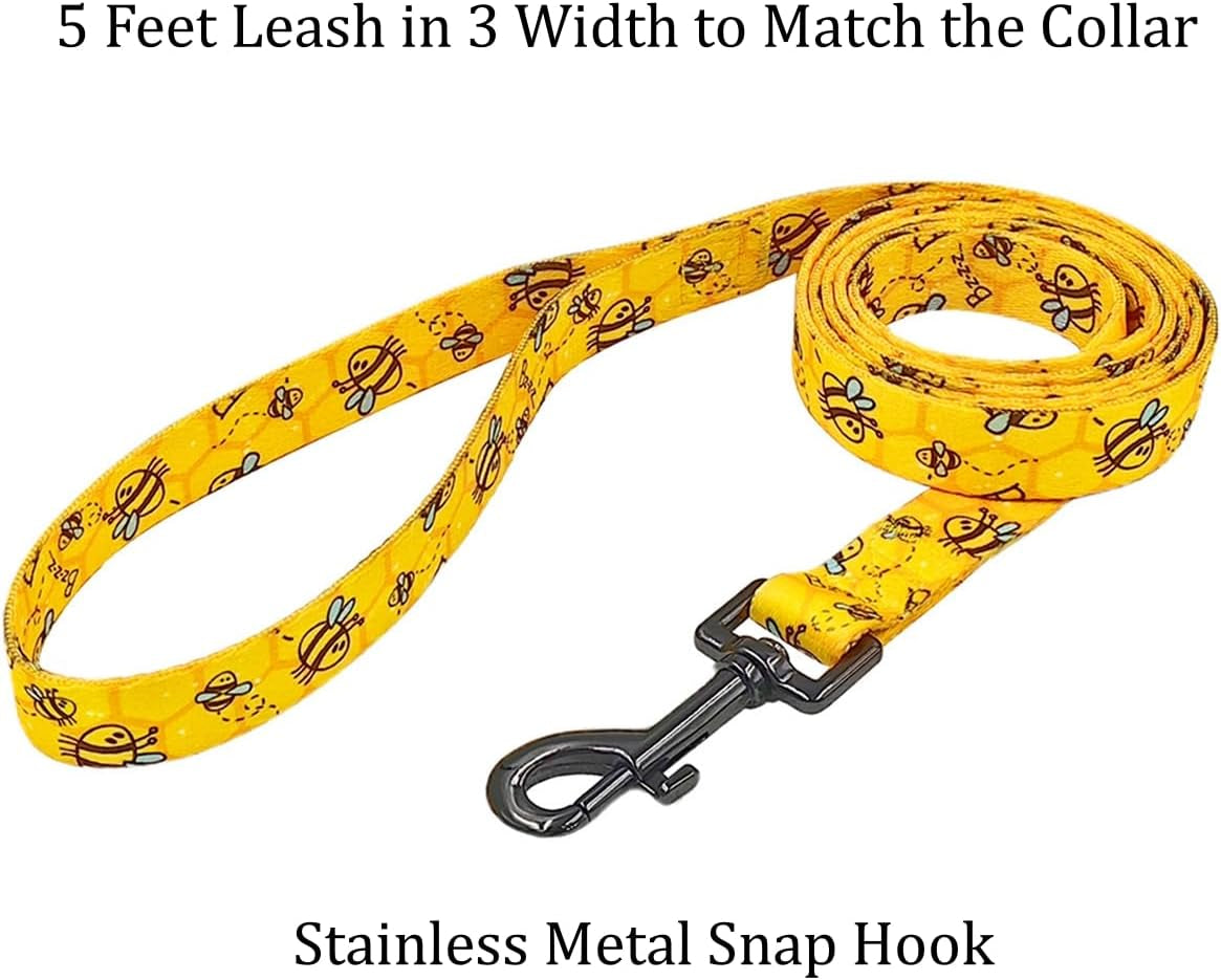 Busy Bee Collar & Leash Set