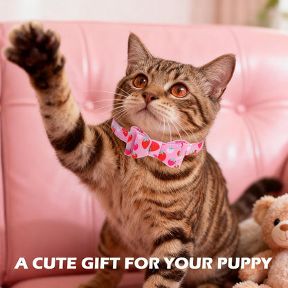 Bow Tie Collar & Leash Set
