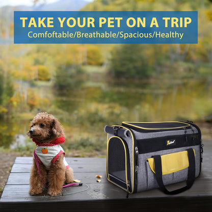 Soft-Sided Travel Carrier for Cats & Small Dogs