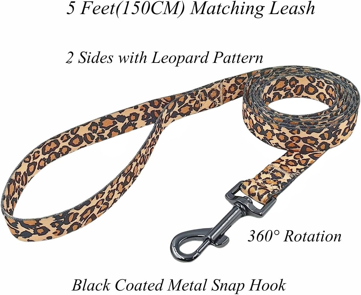 Leopard Print Collar & Leash Set