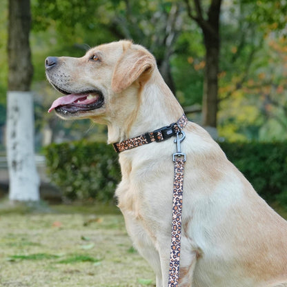 Leopard Print Collar & Leash Set