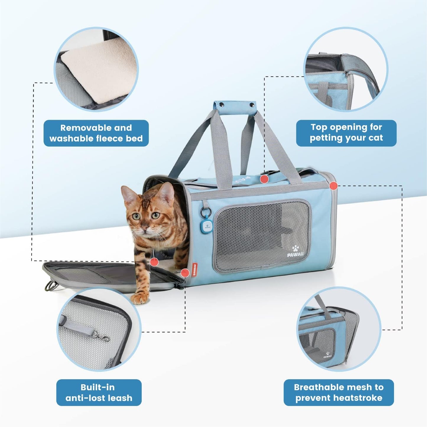 Airline-Approved Collapsible Pet Carrier