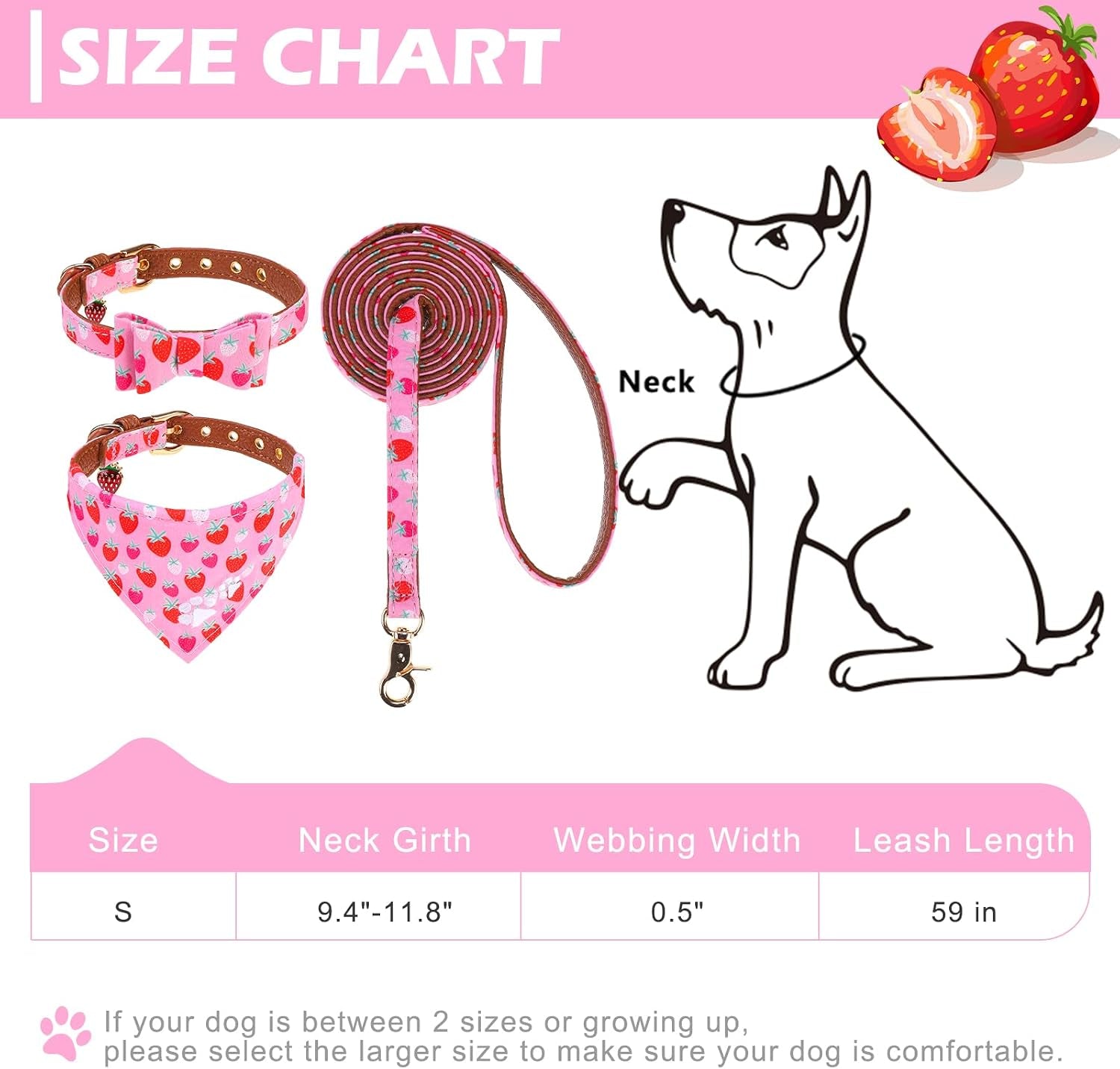 Bow Tie Collar & Leash Set