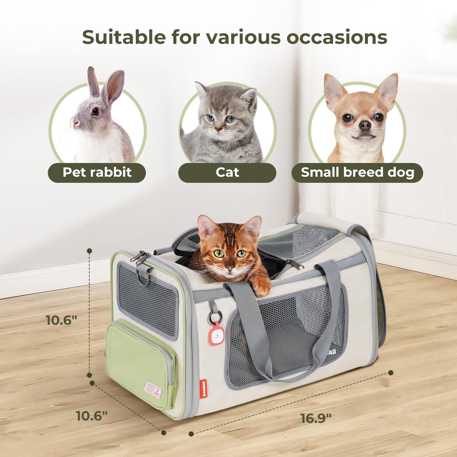 Airline-Approved Collapsible Pet Carrier