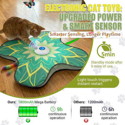 Hide-And-Seek Play Mat for Cats