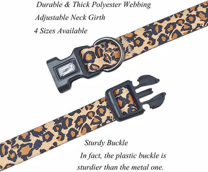 Leopard Print Collar & Leash Set