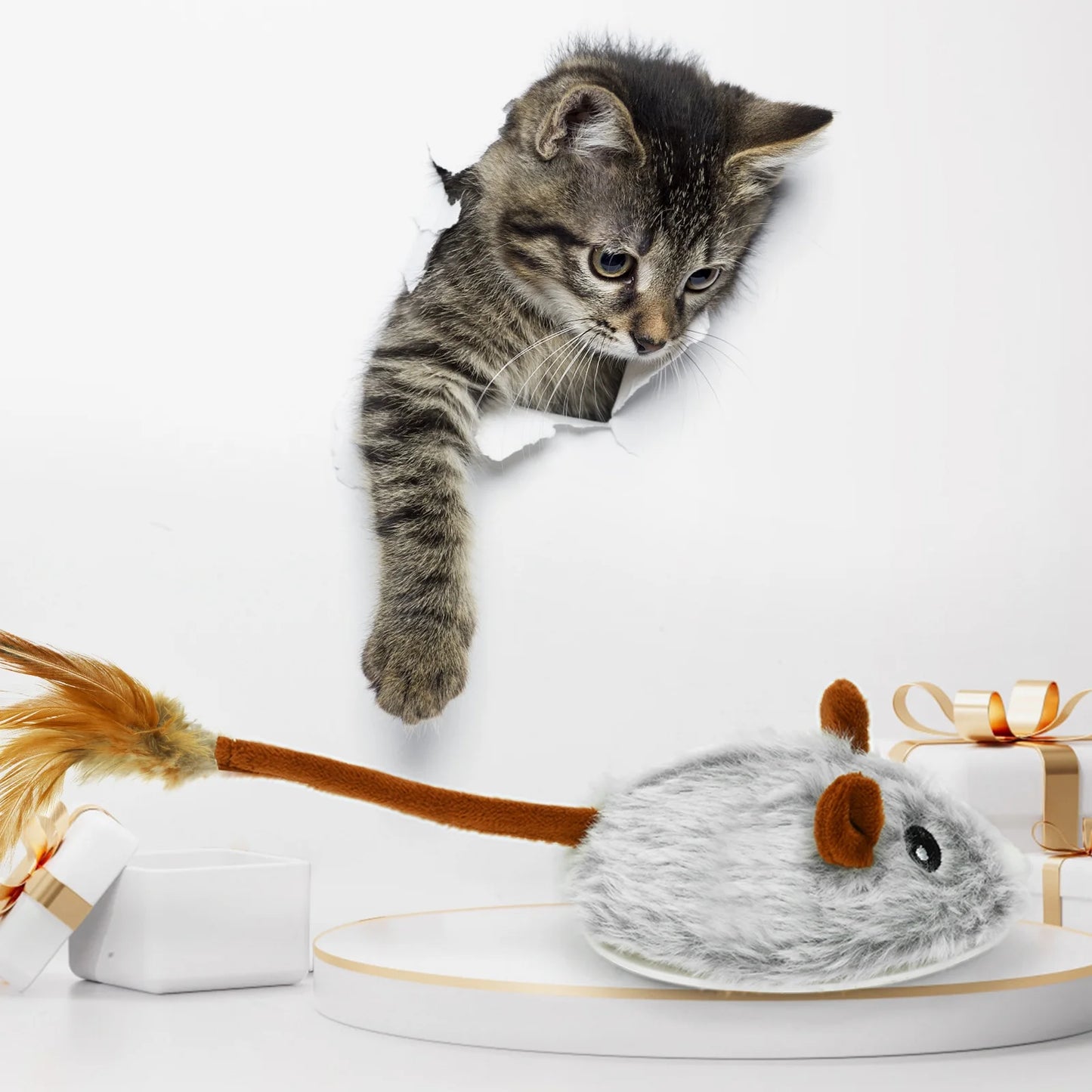 App-Controlled Mouse Toy for Cats
