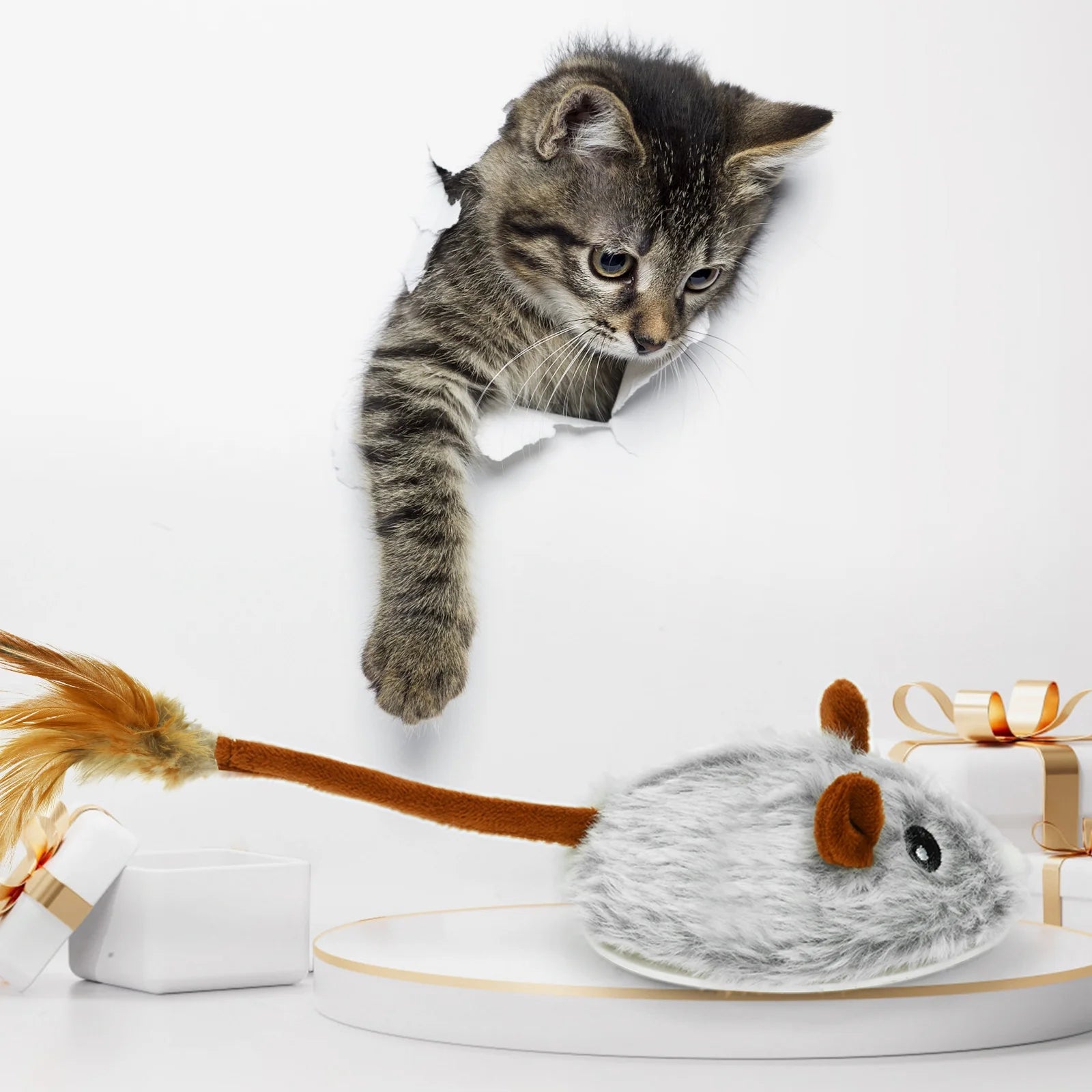 App-Controlled Mouse Toy for Cats