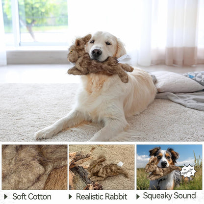 Squeaky Rabbit Fetch Toy