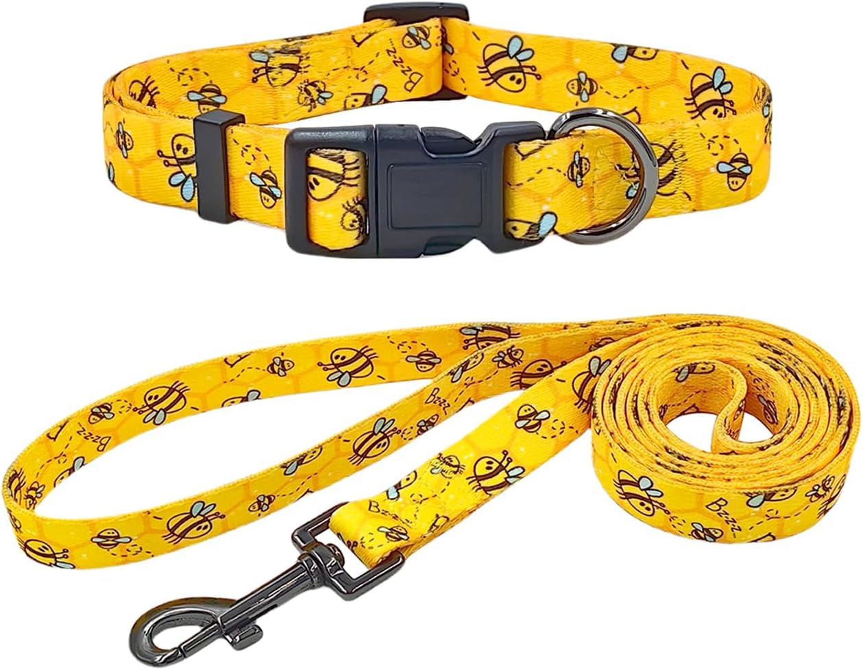 Busy Bee Collar & Leash Set