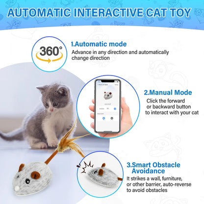 App-Controlled Mouse Toy for Cats