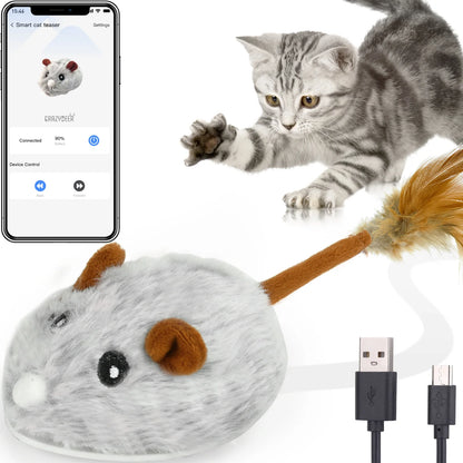 App-Controlled Mouse Toy for Cats