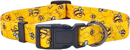 Busy Bee Collar & Leash Set