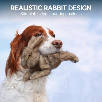 Squeaky Rabbit Fetch Toy