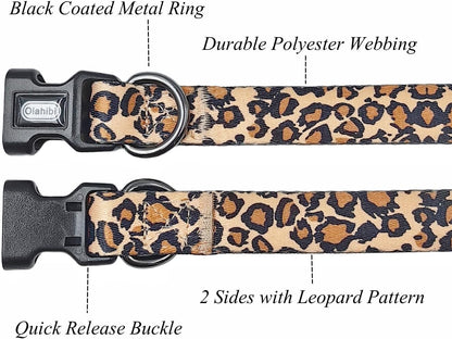 Leopard Print Collar & Leash Set