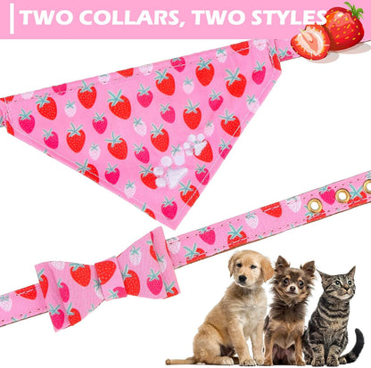 Bow Tie Collar & Leash Set