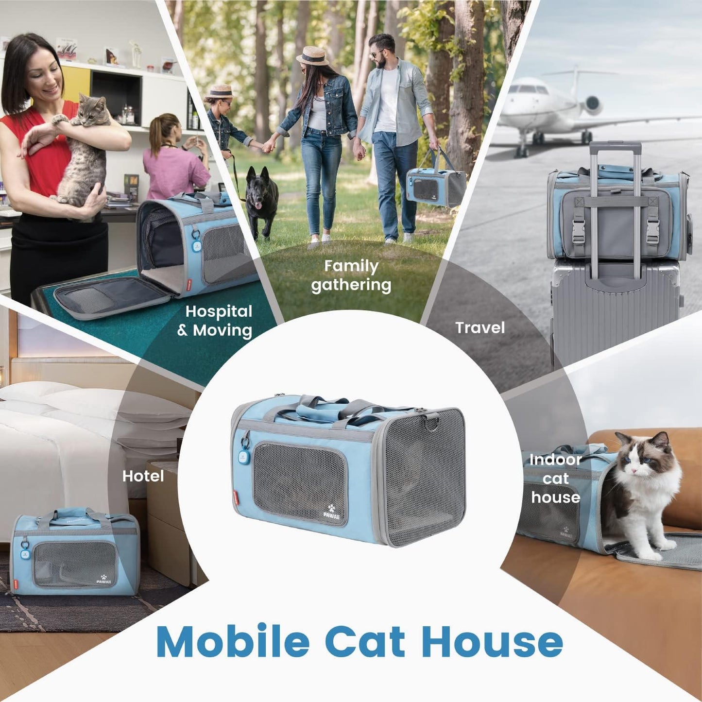 Airline-Approved Collapsible Pet Carrier